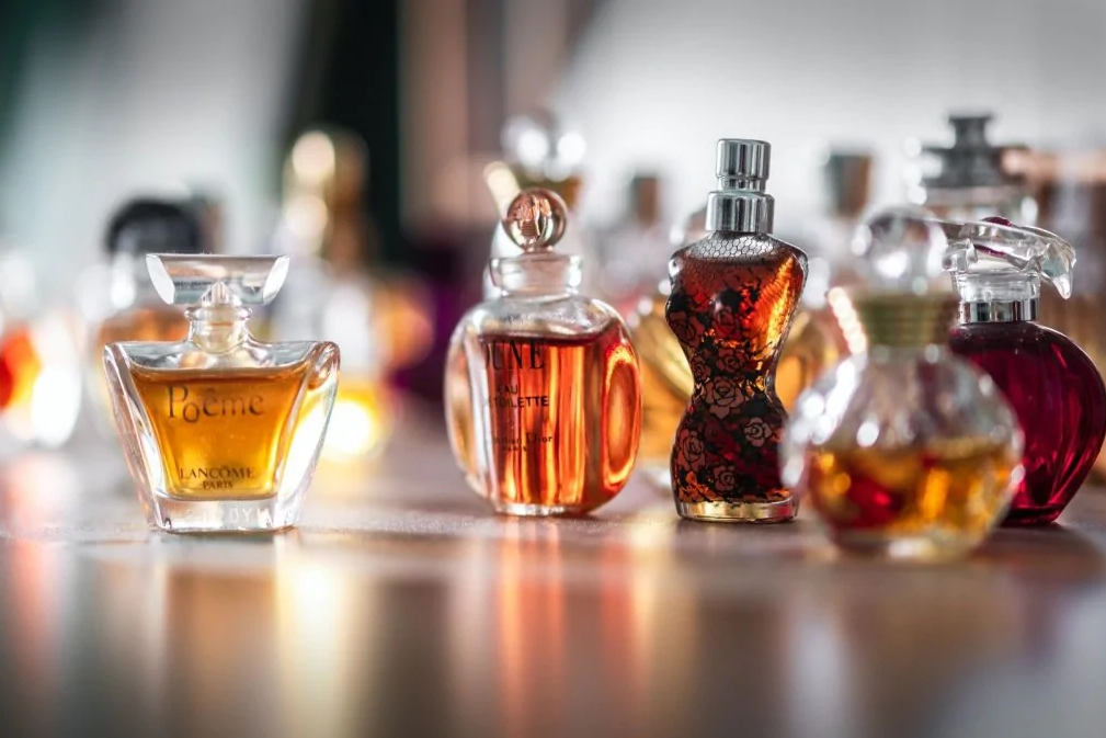 <span style="font-weight: bold;">ТРЕНДЫ НОВОГО СЕЗОНА </span>